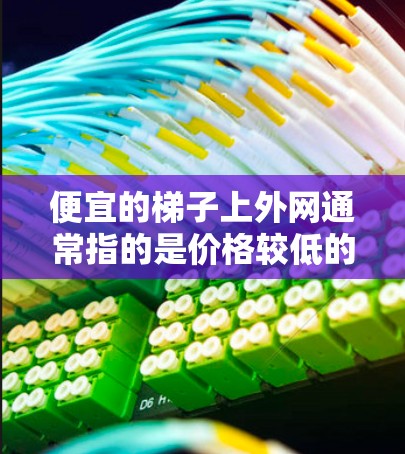 便宜的梯子上外网通常指的是价格较低的梯子,可能需要考虑其功能和适用性。以下是一些常见的便宜梯子及其特点 便宜的梯子上外网通常指的是价格较低的梯子,可能需要考虑其功能和适用性。以下是一些常见的便宜梯子及其特点