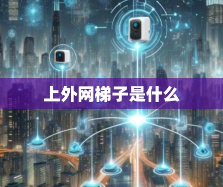 上外网梯子是什么 上外网梯子是什么