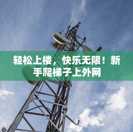 轻松上楼,快乐无限!新手爬梯子上外网 轻松上楼,快乐无限!新手爬梯子上外网