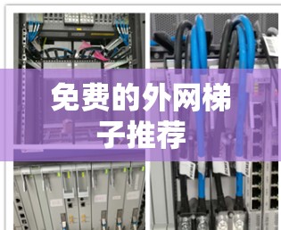 免费的外网梯子推荐 免费的外网梯子推荐