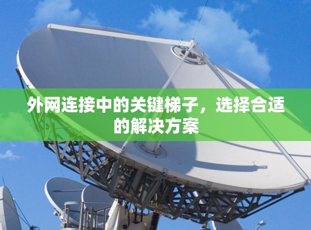 外网连接中的关键梯子,选择合适的解决方案 外网连接中的关键梯子,选择合适的解决方案