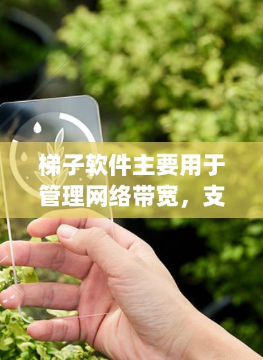 梯子软件主要用于管理网络带宽，支持流量控制、ping测试、流量统计等功能。以下是梯子软件的详细介绍