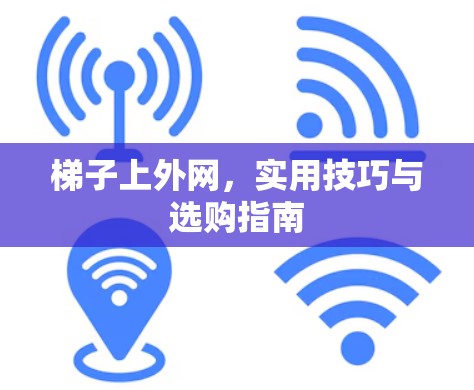 梯子上外网,实用技巧与选购指南 梯子上外网,实用技巧与选购指南