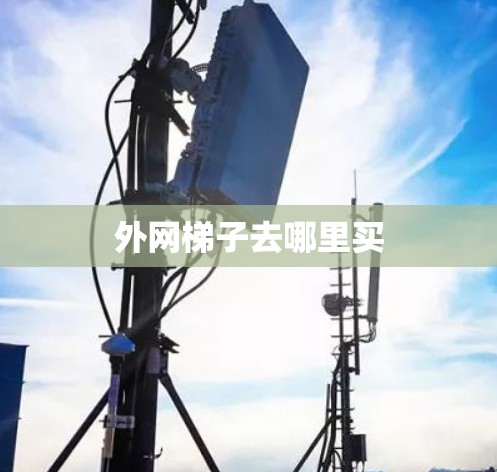 外网梯子去哪里买 外网梯子去哪里买