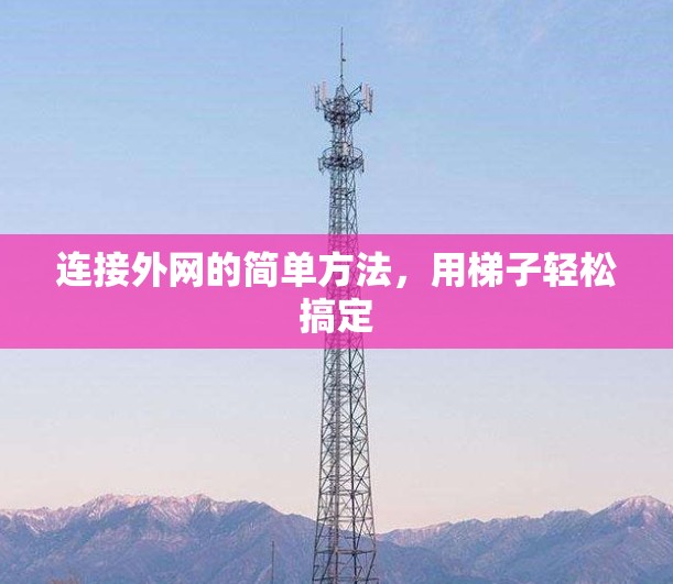 连接外网的简单方法,用梯子轻松搞定 连接外网的简单方法,用梯子轻松搞定