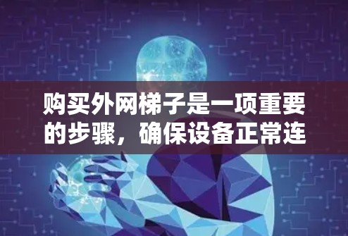 购买外网梯子是一项重要的步骤,确保设备正常连接。以下是一个有条理的购买指南 购买外网梯子是一项重要的步骤,确保设备正常连接。以下是一个有条理的购买指南