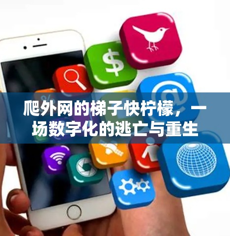 爬外网的梯子快柠檬,一场数字化的逃亡与重生 爬外网的梯子快柠檬,一场数字化的逃亡与重生