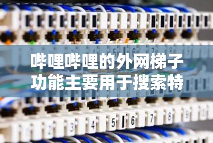 哔哩哔哩的外网梯子功能主要用于搜索特定的视频内容,如中国新剧。以下是一步步的使用方法 哔哩哔哩的外网梯子功能主要用于搜索特定的视频内容,如中国新剧。以下是一步步的使用方法