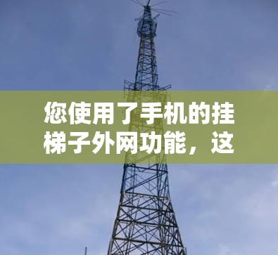 您使用了手机的挂梯子外网功能，这通常用于管理设备的某些属性，如设置、删除和重启。以下是一些步骤指南和注意事项，帮助您使用该功能