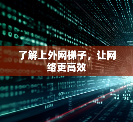 了解上外网梯子,让网络更高效 了解上外网梯子,让网络更高效