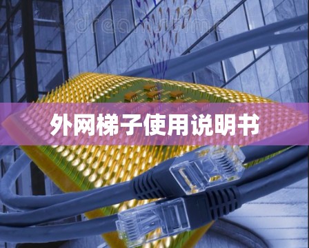 外网梯子使用说明书 外网梯子使用说明书