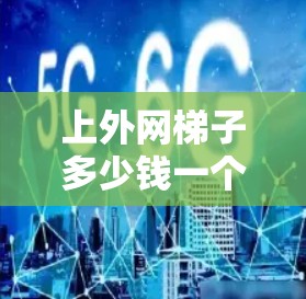 上外网梯子多少钱一个?哪种配置更适合你的需求? 上外网梯子多少钱一个?哪种配置更适合你的需求?
