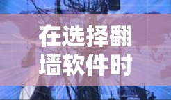 在选择翻墙软件时,应综合考虑多个因素,以确保能够高效且安全地解决网络连接问题。以下是一个结构化的解决方案 在选择翻墙软件时,应综合考虑多个因素,以确保能够高效且安全地解决网络连接问题。以下是一个结构化的解决方案