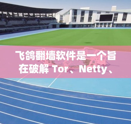 飞鸽翻墙软件是一个旨在破解 Tor、Netty、P2P等网络攻击工具的软件,旨在保护用户和网络的安全。以下是对该软件的逐步解释和总结 飞鸽翻墙软件是一个旨在破解 Tor、Netty、P2P等网络攻击工具的软件,旨在保护用户和网络的安全。以下是对该软件的逐步解释和总结