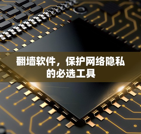 翻墙软件,保护网络隐私的必选工具 翻墙软件,保护网络隐私的必选工具