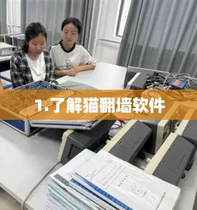 1.了解猫翻墙软件