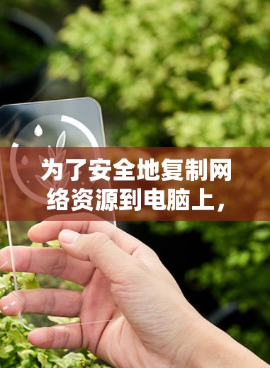 为了安全地复制网络资源到电脑上,以下是一步步的建议 为了安全地复制网络资源到电脑上,以下是一步步的建议