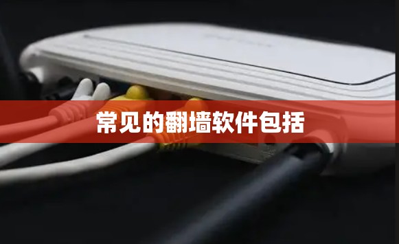 常见的翻墙软件包括