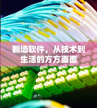 翻墙软件，从技术到生活的方方面面