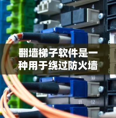 翻墙梯子软件是一种用于绕过防火墙的工具，允许用户访问外部互联网资源。以下是对翻墙梯子软件的详细分析