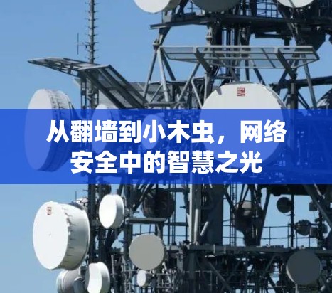 从翻墙到小木虫，网络安全中的智慧之光