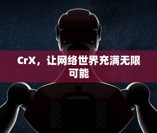 CrX，让网络世界充满无限可能