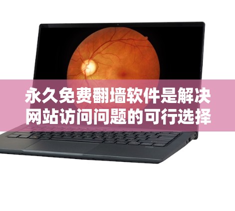 永久免费翻墙软件是解决网站访问问题的可行选择，但需要综合考虑多种因素。以下是一个结构化的解决方案，帮助你找到合适的工具