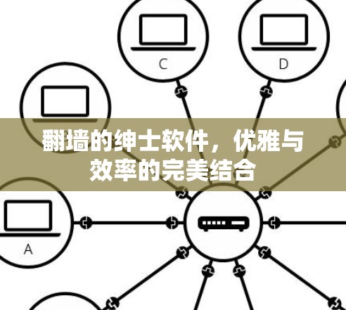 翻墙的绅士软件，优雅与效率的完美结合