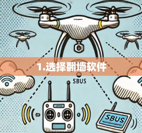 1.选择翻墙软件