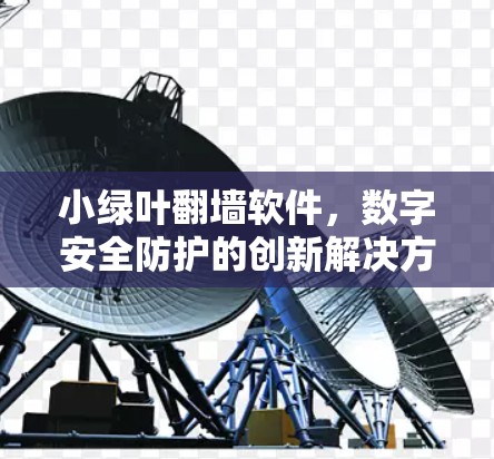 小绿叶翻墙软件，数字安全防护的创新解决方案