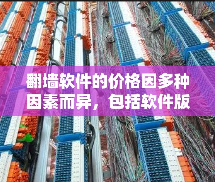 翻墙软件的价格因多种因素而异，包括软件版本、功能、用户需求、平台支持、兼容性和更新频率等。以下是对不同情况的分析和建议