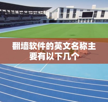 翻墙软件的英文名称主要有以下几个