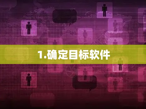 1.确定目标软件