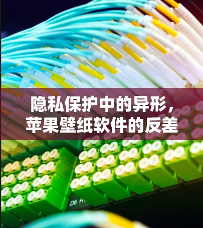 隐私保护中的异形，苹果壁纸软件的反差