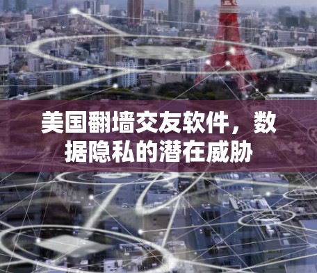 美国翻墙交友软件，数据隐私的潜在威胁