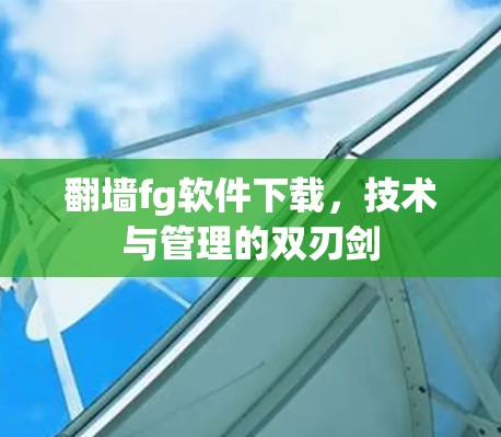 翻墙fg软件下载，技术与管理的双刃剑