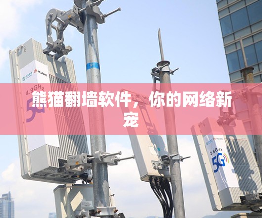 熊猫翻墙软件，你的网络新宠