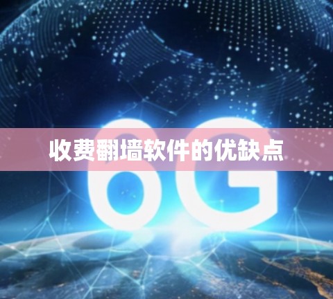 收费翻墙软件的优缺点