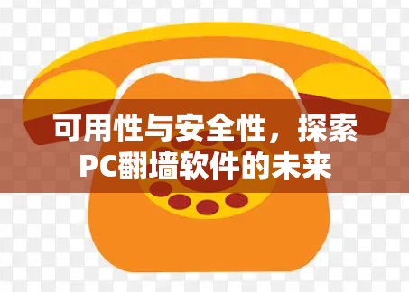 可用性与安全性，探索PC翻墙软件的未来